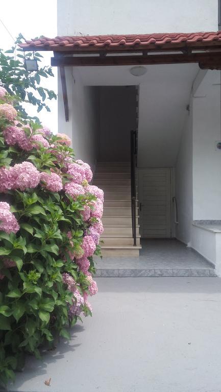 Georgoulas Apartments Paralía Skotínis Exterior foto
